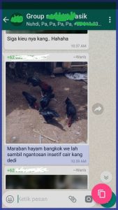 Cara Copy Paste di Whatsapp