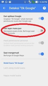 Cara Menggunakan OK GOOGLE 2